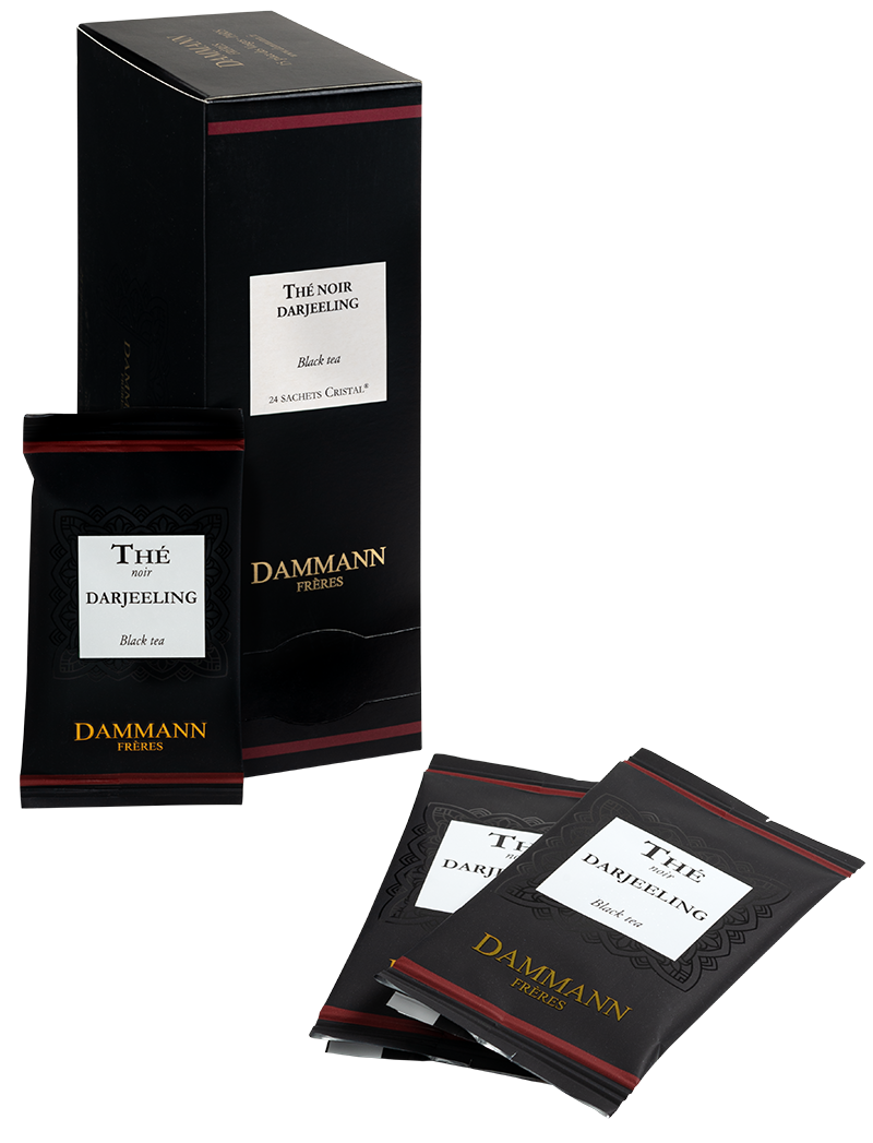 DAMMANN Frères THE NOIR DARJEELING - 24 PCS